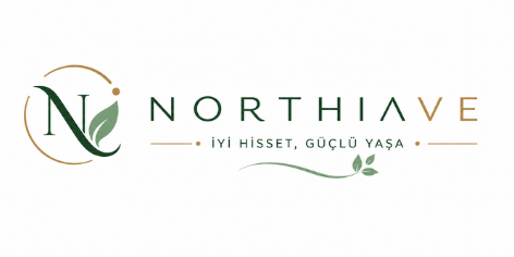 Northiave.co